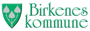Birkenes kommune